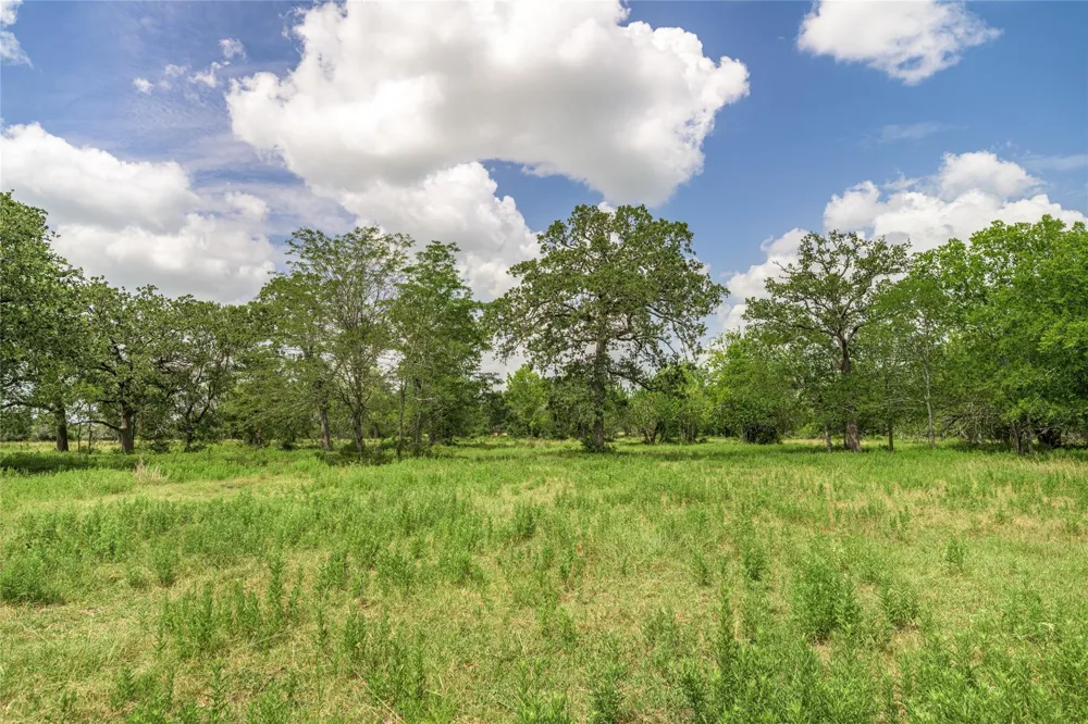 6700 Walhalla Road Round Top, TX 78954