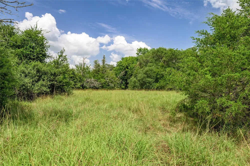 6700 Walhalla Road Round Top, TX 78954