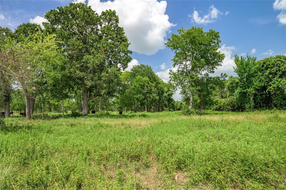 6700 Walhalla Road Round Top, TX 78954
