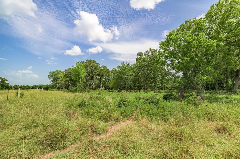 6700 Walhalla Road Round Top, TX 78954