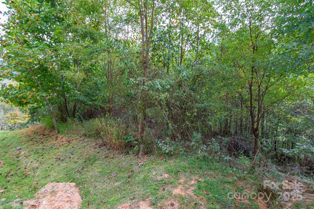 0 Majestic Mountain Drive #11 Burnsville, NC 28714