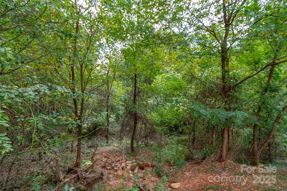 0 Majestic Mountain Drive #11 Burnsville, NC 28714