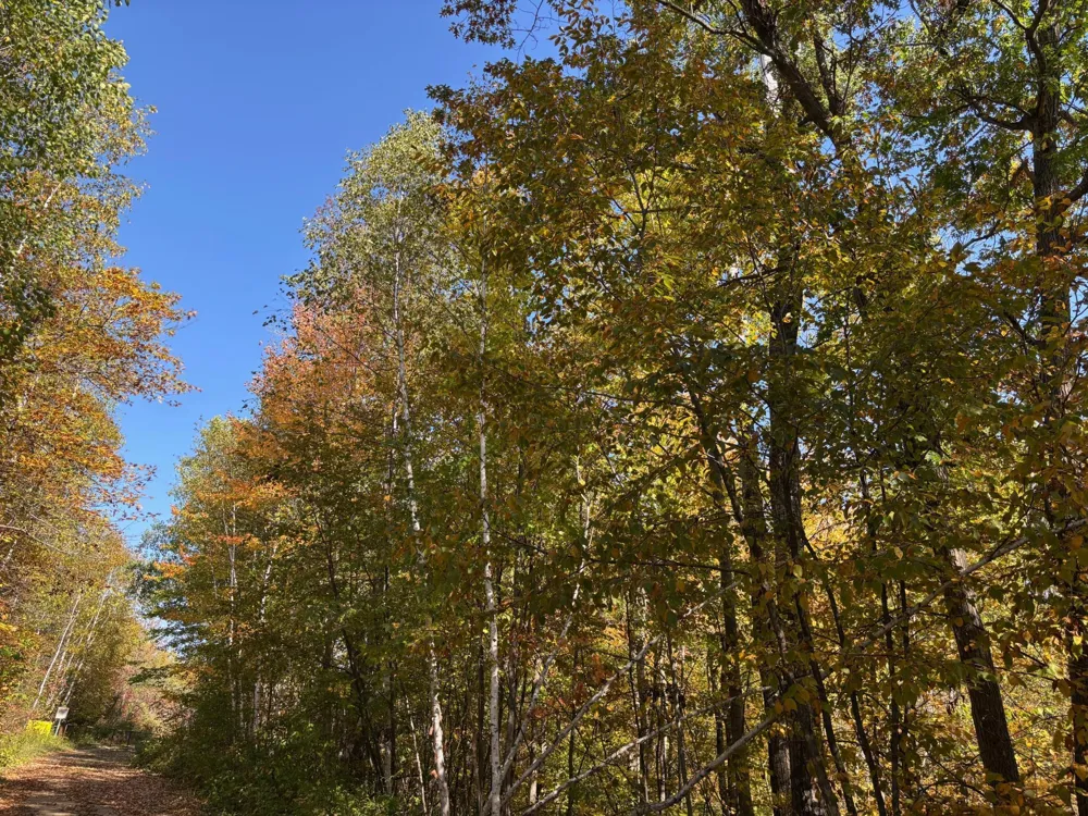 TBD County Road 12 Akeley, MN 56433