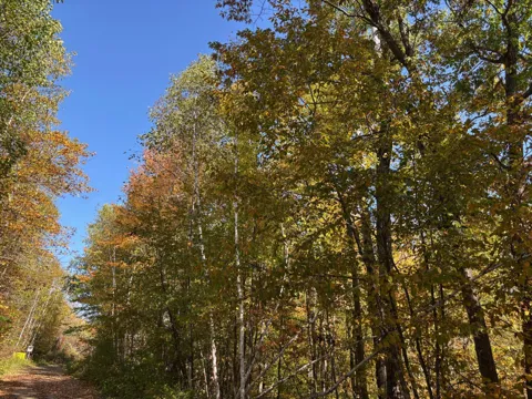 TBD County Road 12