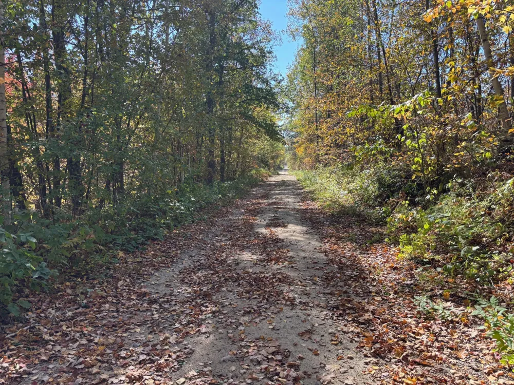 TBD County Road 12 Akeley, MN 56433