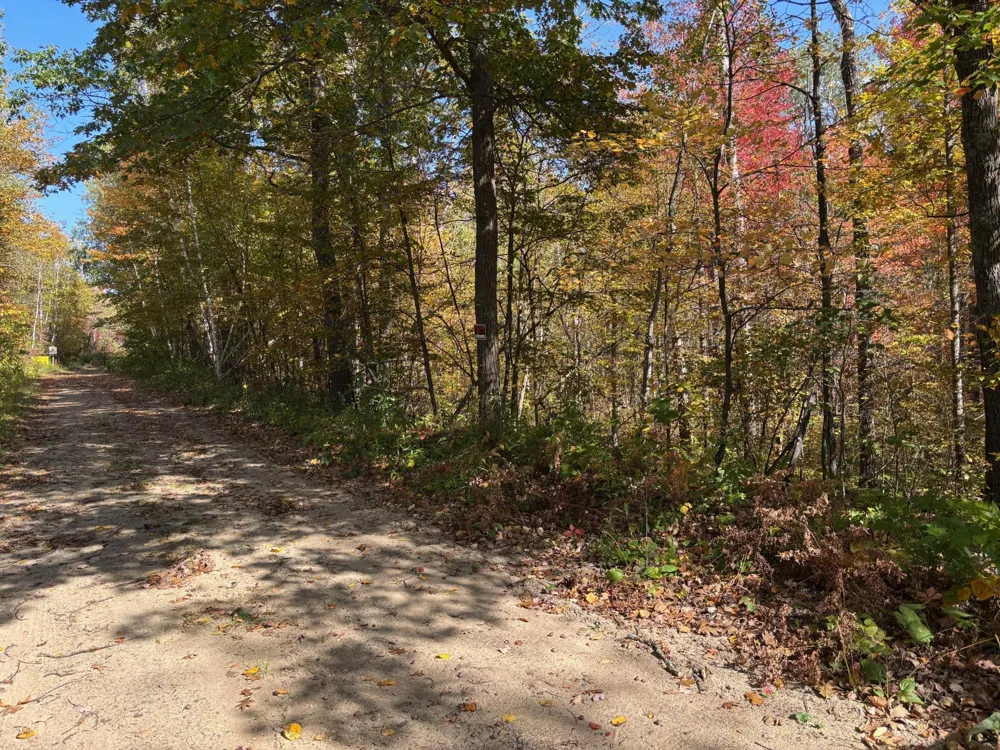 TBD County Road 12 Akeley, MN 56433