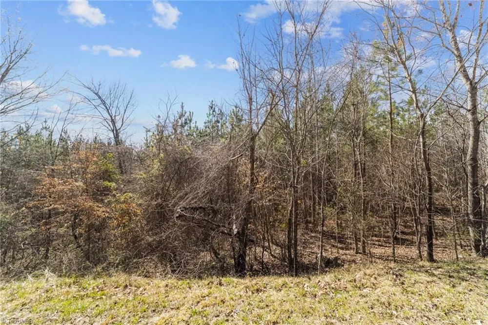 2636 Minden Road Pleasant Garden, NC 27313