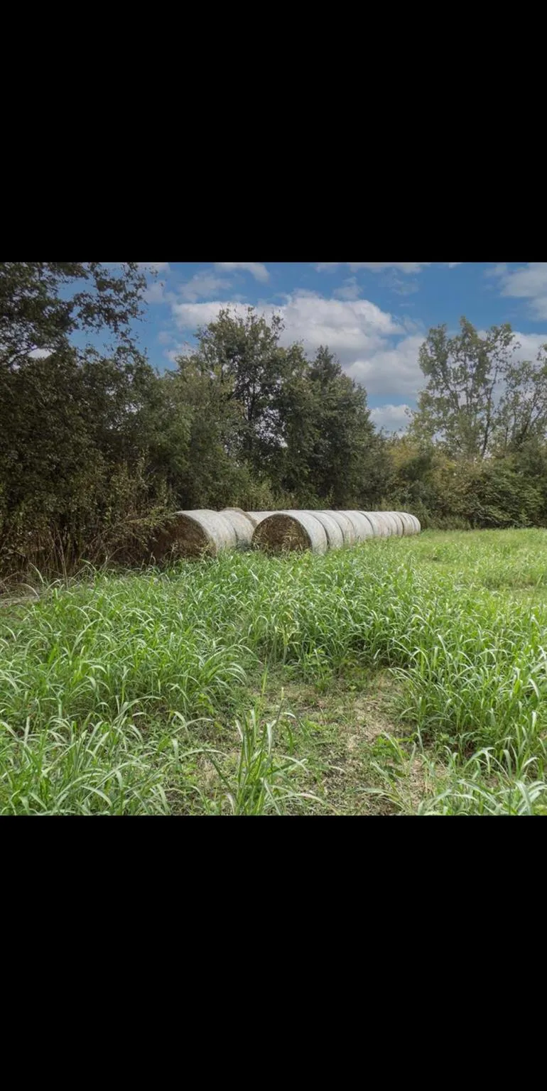 Fm 1774 Plantersville, TX 77363