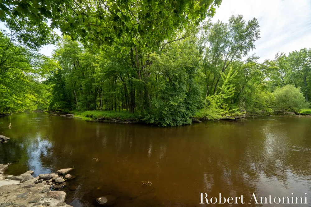 4751 S Johnson Road Gowen, MI 49326