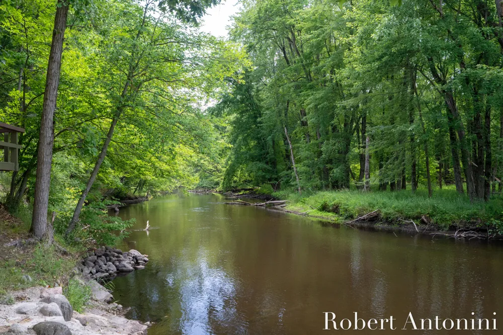 4751 S Johnson Road Gowen, MI 49326