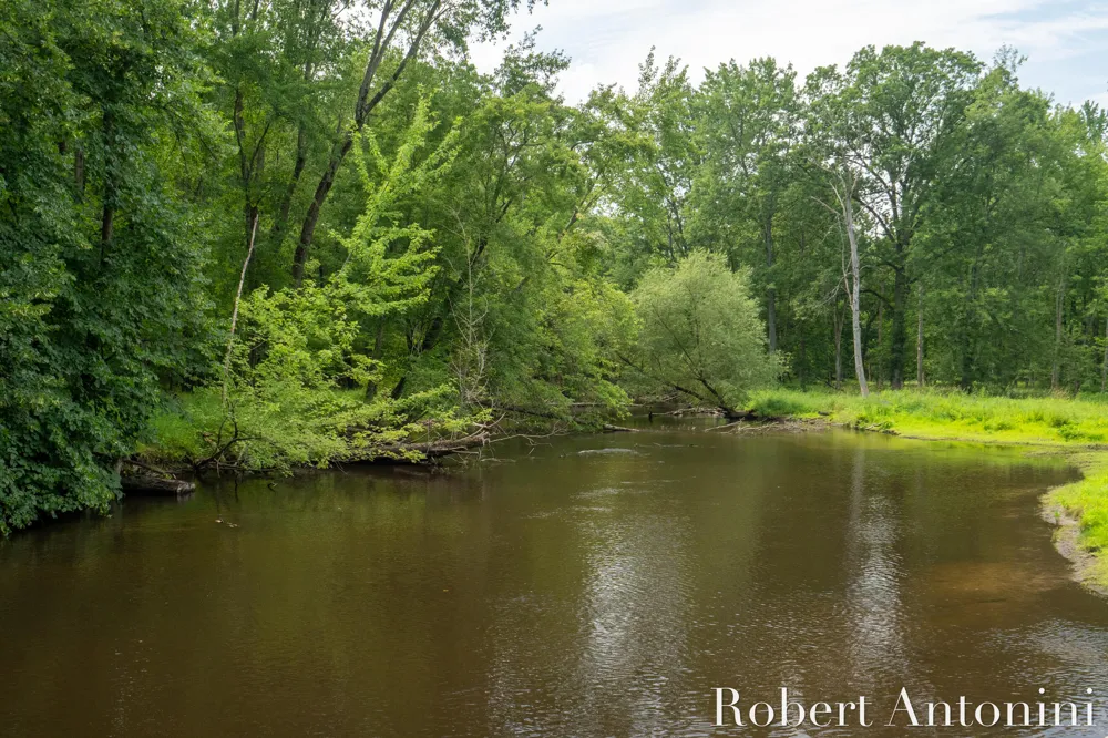 4751 S Johnson Road Gowen, MI 49326