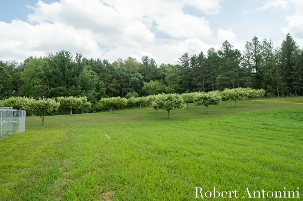 4751 S Johnson Road Gowen, MI 49326