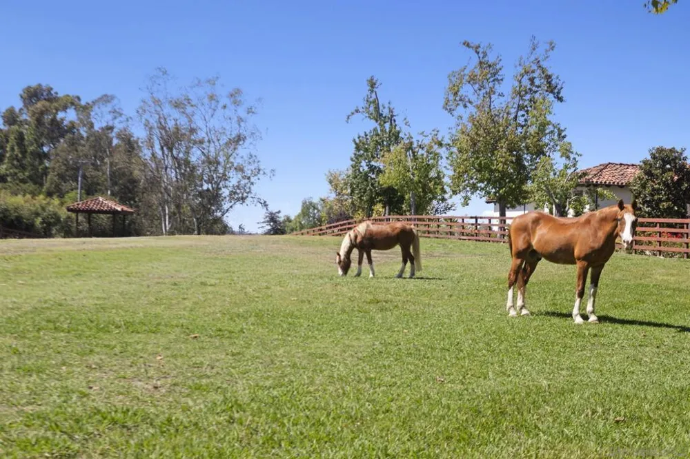 17872 Via De Fortuna Rancho Santa Fe, CA 92067