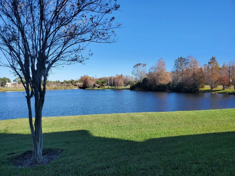 2013 TIZEWELL CIRCLE #1403 Orlando, FL 32837