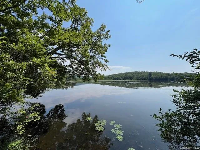 Lot 68 Shore Road Swan Lake, NY 12783