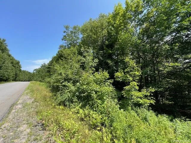 Lot 68 Shore Road Swan Lake, NY 12783