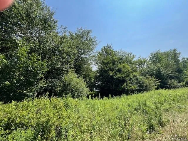 Lot 68 Shore Road Swan Lake, NY 12783