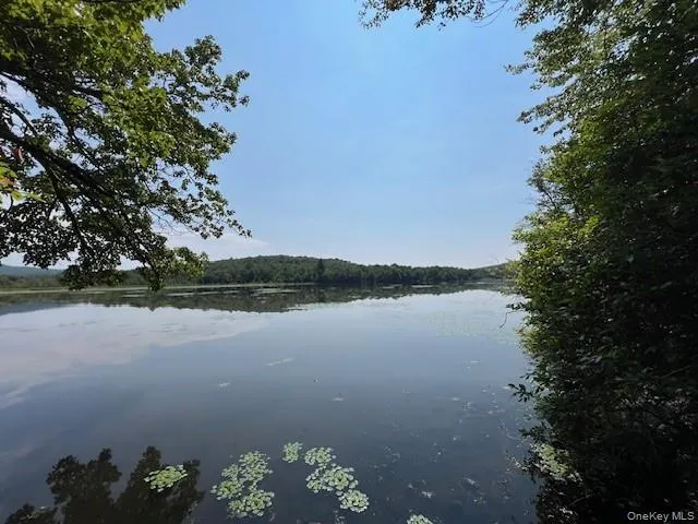 Lot 68 Shore Road Swan Lake, NY 12783