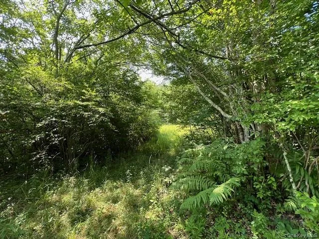 Lot 68 Shore Road Swan Lake, NY 12783