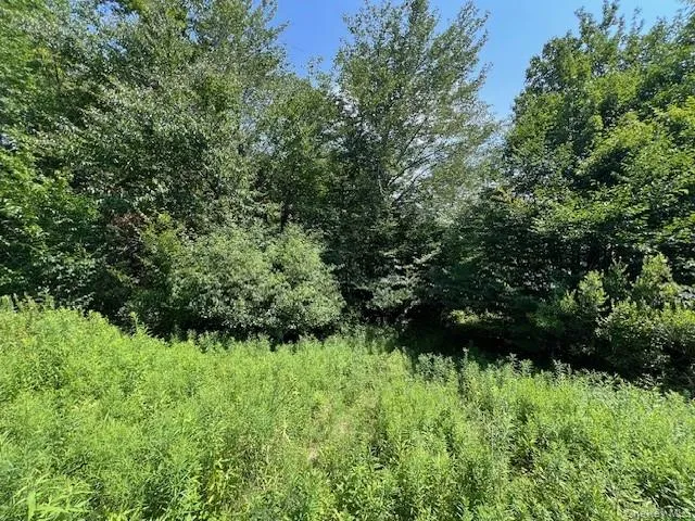 Lot 68 Shore Road Swan Lake, NY 12783
