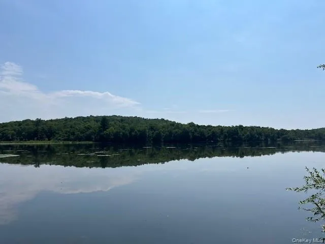 Lot 68 Shore Road Swan Lake, NY 12783
