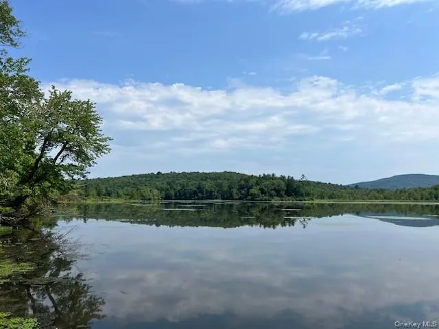 Lot 68 Shore Road Swan Lake, NY 12783