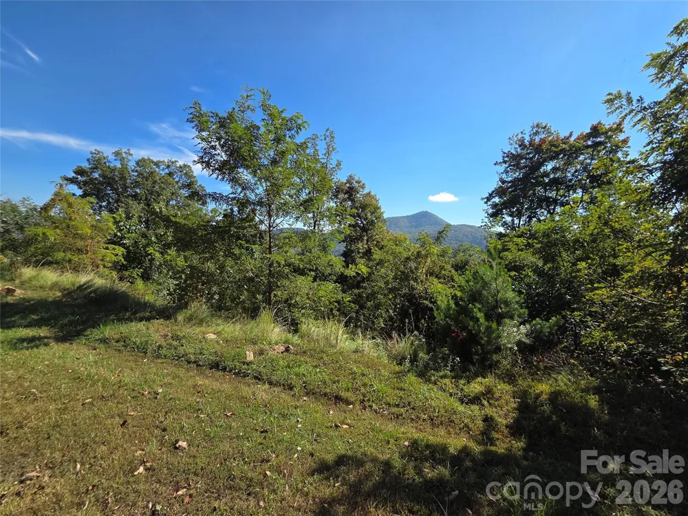 1505 Summit View Drive #20 Canton, NC 28716