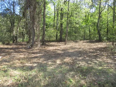 1129 Reese Road