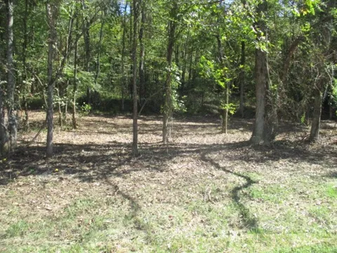 1141 REESE ROAD