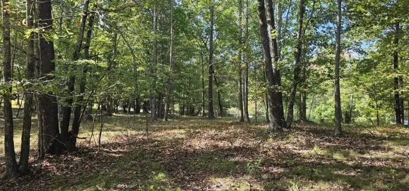 515 Wilderness Way Dunlap, TN 37327