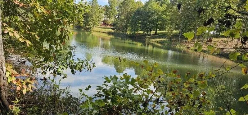 515 Wilderness Way Dunlap, TN 37327