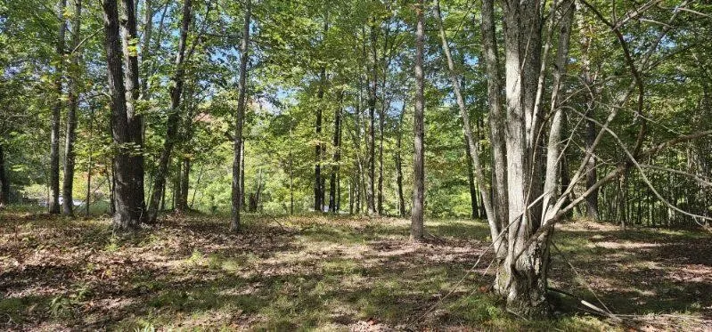 515 Wilderness Way Dunlap, TN 37327
