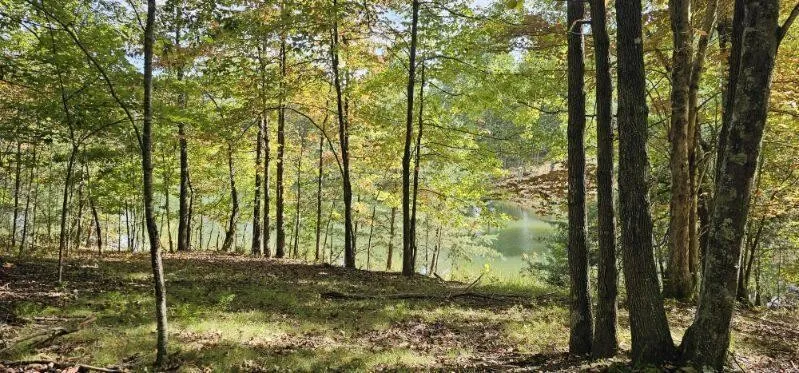 515 Wilderness Way Dunlap, TN 37327