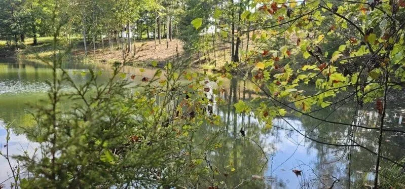 515 Wilderness Way Dunlap, TN 37327