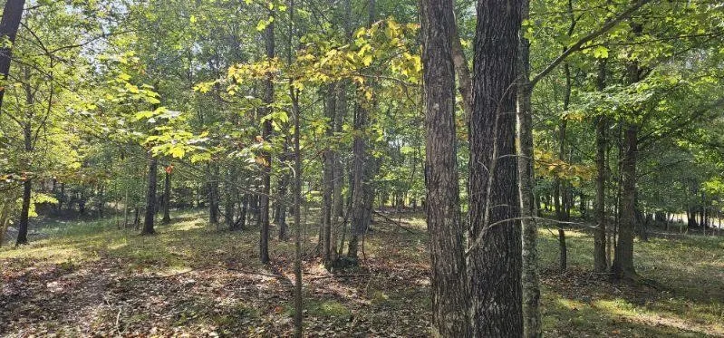 515 Wilderness Way Dunlap, TN 37327