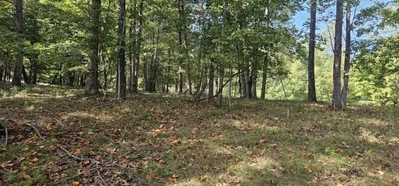 515 Wilderness Way Dunlap, TN 37327