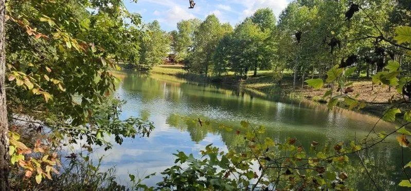 515 Wilderness Way Dunlap, TN 37327