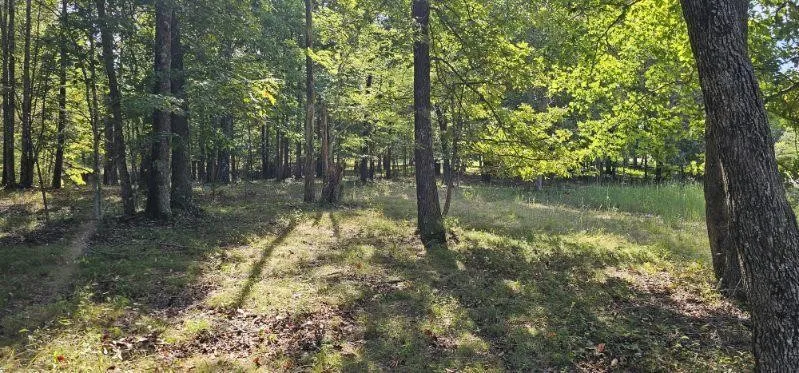 515 Wilderness Way Dunlap, TN 37327