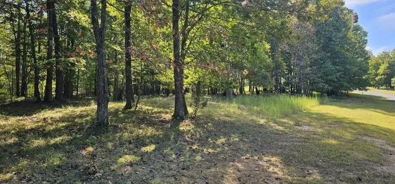 515 Wilderness Way Dunlap, TN 37327