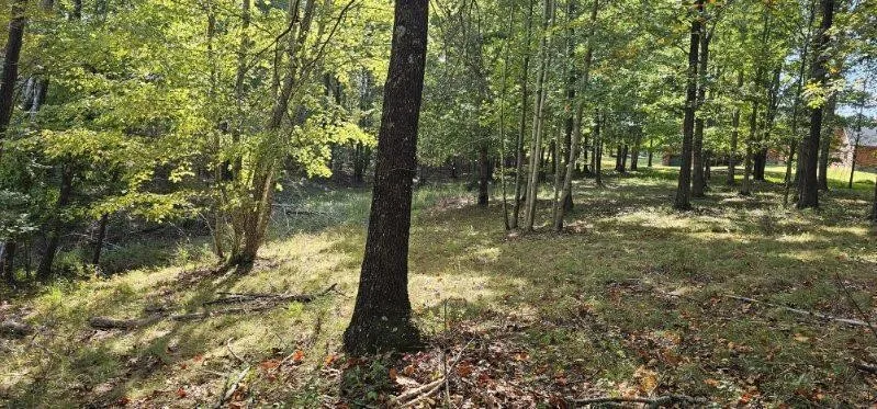 515 Wilderness Way Dunlap, TN 37327