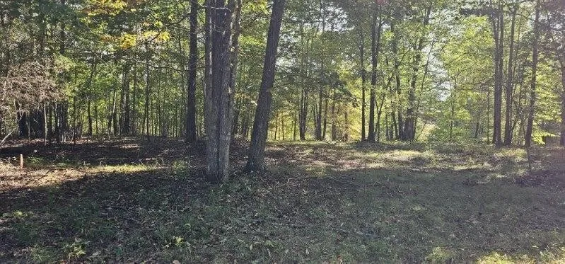 515 Wilderness Way Dunlap, TN 37327