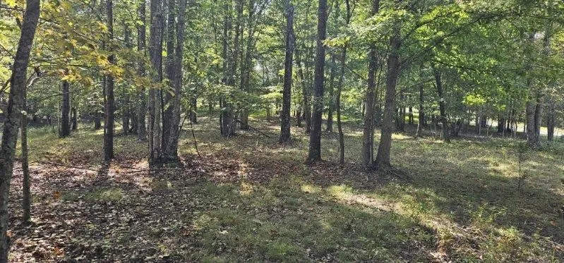 515 Wilderness Way Dunlap, TN 37327