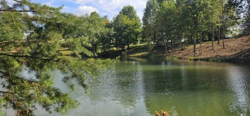 515 Wilderness Way Dunlap, TN 37327