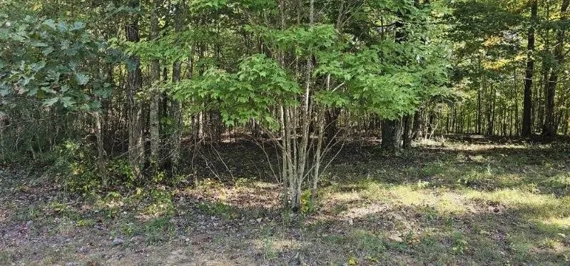 515 Wilderness Way Dunlap, TN 37327