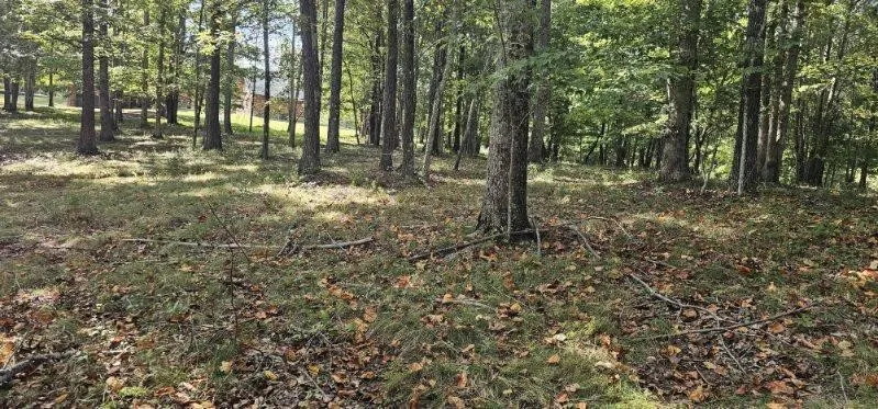 515 Wilderness Way Dunlap, TN 37327