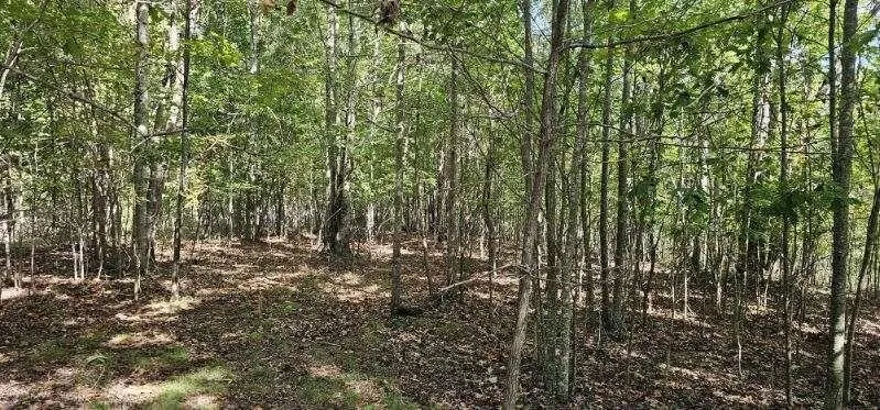 515 Wilderness Way Dunlap, TN 37327