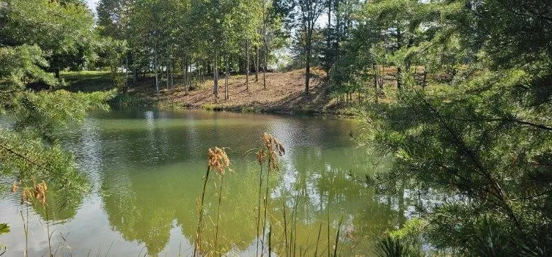515 Wilderness Way Dunlap, TN 37327
