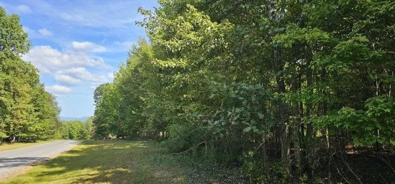 515 Wilderness Way Dunlap, TN 37327