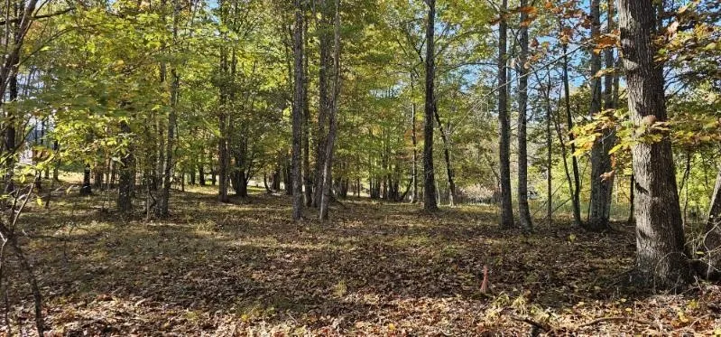 515 Wilderness Way Dunlap, TN 37327
