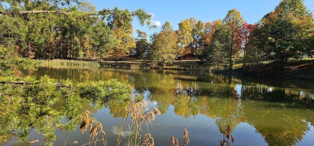 515 Wilderness Way Dunlap, TN 37327
